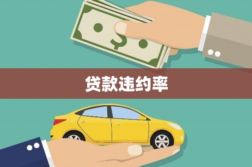 卑南贷款违约率