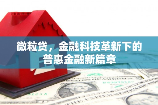 卑南微粒贷，金融科技革新下的普惠金融新篇章