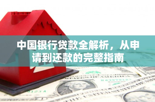 卑南中国银行贷款全解析，从申请到还款的完整指南