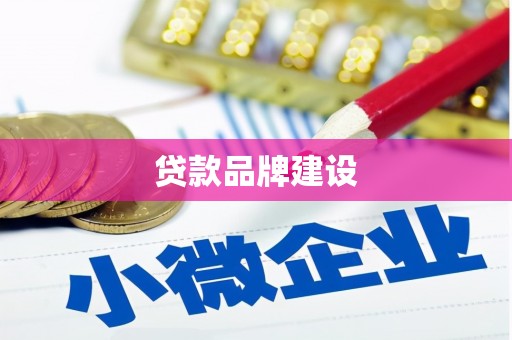 卑南贷款品牌建设