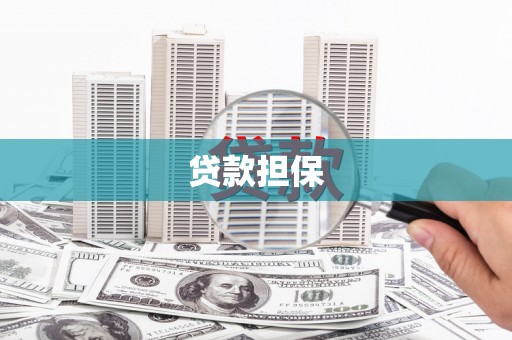卑南贷款担保