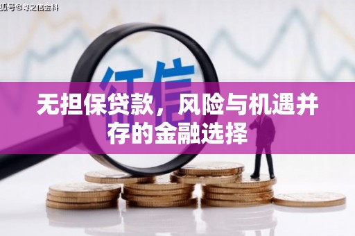 卑南无担保贷款，风险与机遇并存的金融选择