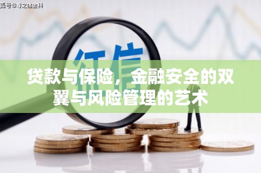 卑南贷款与保险，金融安全的双翼与风险管理的艺术