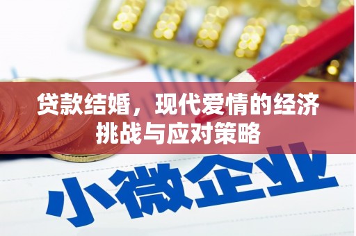 卑南贷款结婚，现代爱情的经济挑战与应对策略