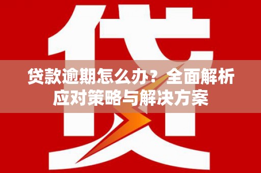 卑南贷款逾期怎么办？全面解析应对策略与解决方案