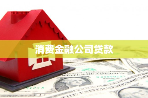 卑南消费金融公司贷款