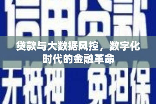 卑南贷款与大数据风控，数字化时代的金融革命