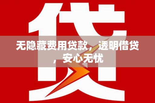 卑南无隐藏费用贷款，透明借贷，安心无忧