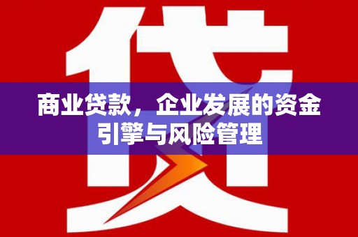 卑南商业贷款，企业发展的资金引擎与风险管理