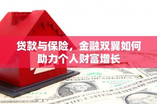卑南贷款与保险，金融双翼如何助力个人财富增长