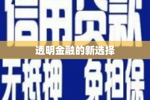 卑南透明金融的新选择