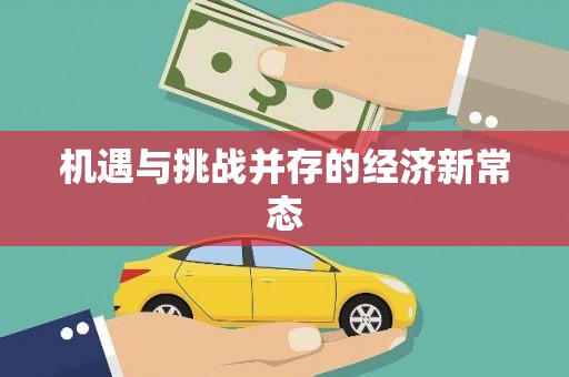 卑南机遇与挑战并存的经济新常态