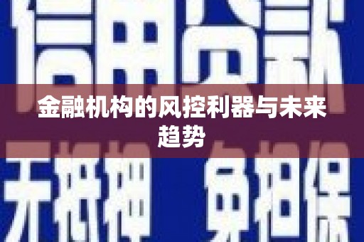 卑南金融机构的风控利器与未来趋势