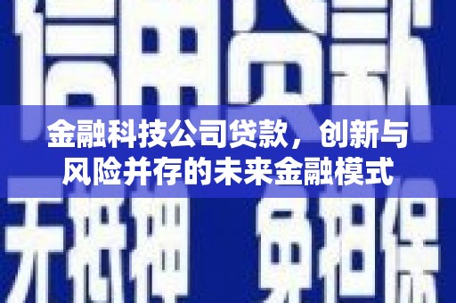 卑南金融科技公司贷款，创新与风险并存的未来金融模式