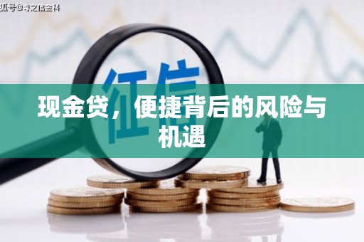 卑南现金贷，便捷背后的风险与机遇