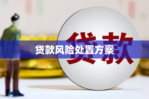 卑南贷款风险处置方案