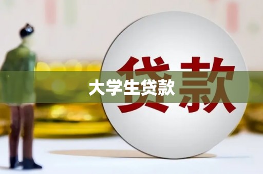 卑南大学生贷款