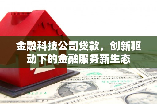 卑南金融科技公司贷款，创新驱动下的金融服务新生态