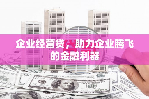 卑南企业经营贷，助力企业腾飞的金融利器