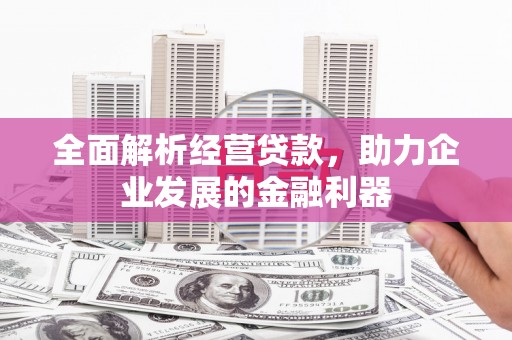 卑南全面解析经营贷款，助力企业发展的金融利器