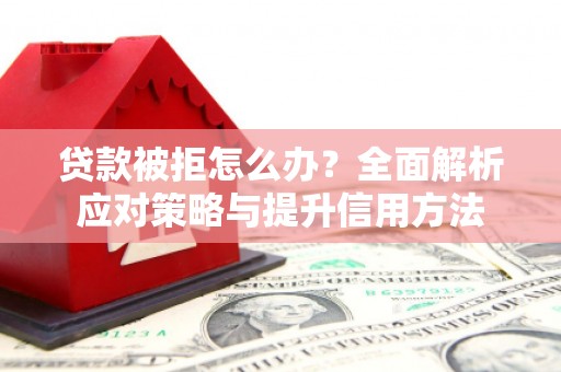 卑南贷款被拒怎么办？全面解析应对策略与提升信用方法