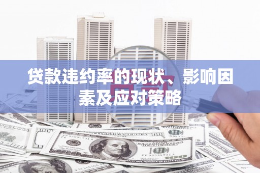 卑南贷款违约率的现状、影响因素及应对策略