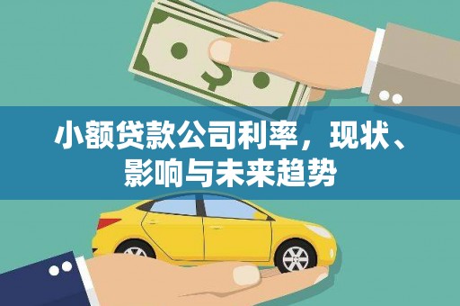 卑南小额贷款公司利率，现状、影响与未来趋势