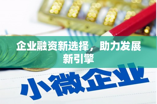 卑南企业融资新选择，助力发展新引擎