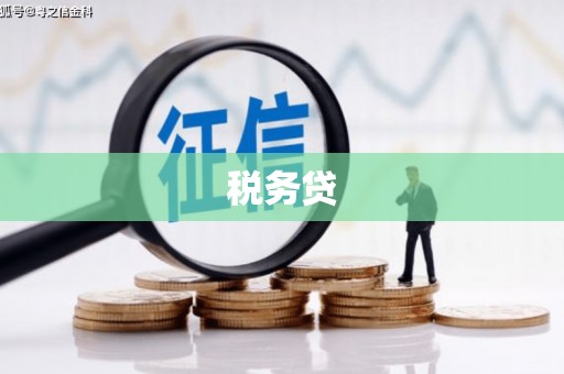 卑南税务贷