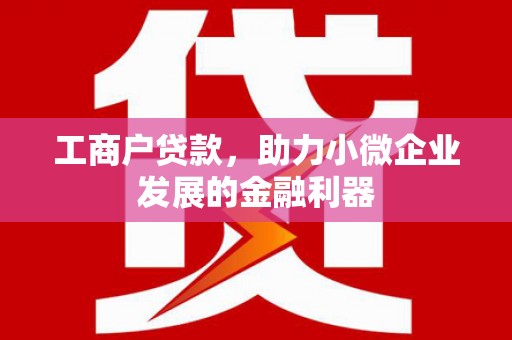 卑南工商户贷款，助力小微企业发展的金融利器