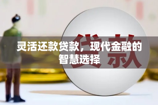 卑南灵活还款贷款，现代金融的智慧选择