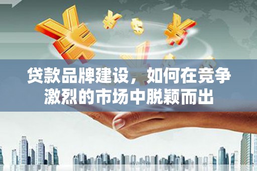 卑南贷款品牌建设，如何在竞争激烈的市场中脱颖而出