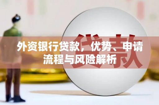 卑南外资银行贷款，优势、申请流程与风险解析