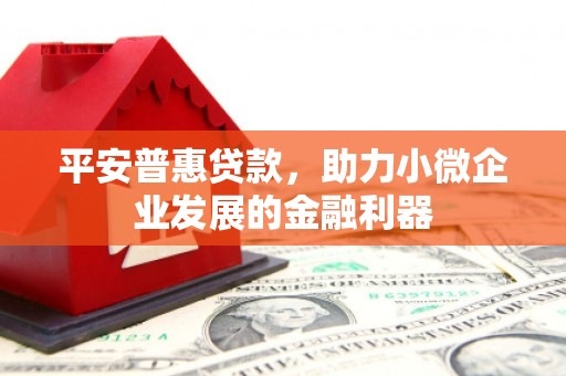 卑南平安普惠贷款，助力小微企业发展的金融利器