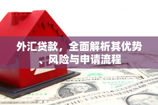 卑南外汇贷款，全面解析其优势、风险与申请流程