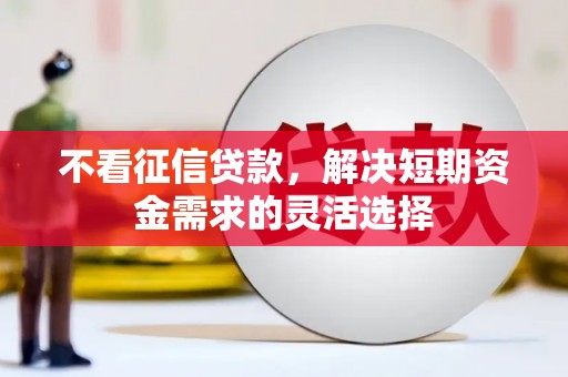 卑南不看征信贷款，解决短期资金需求的灵活选择