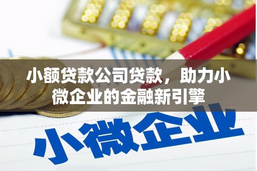 卑南小额贷款公司贷款，助力小微企业的金融新引擎