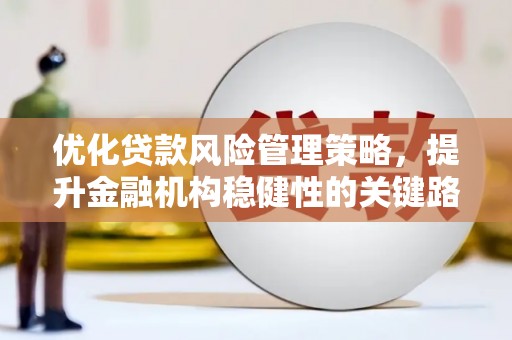 卑南优化贷款风险管理策略，提升金融机构稳健性的关键路径