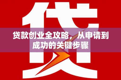 卑南贷款创业全攻略，从申请到成功的关键步骤