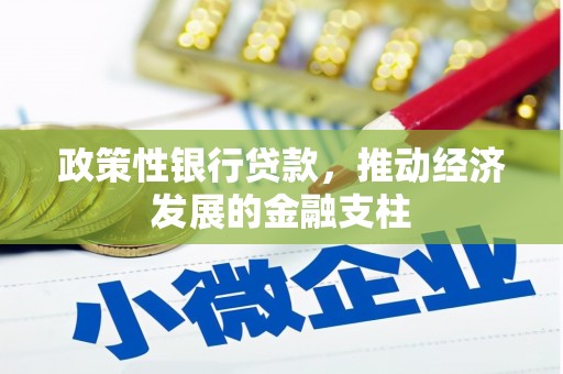 卑南政策性银行贷款，推动经济发展的金融支柱