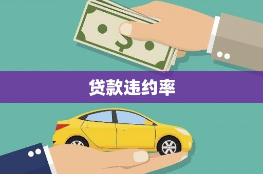 卑南贷款违约率
