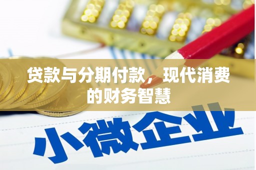卑南贷款与分期付款，现代消费的财务智慧