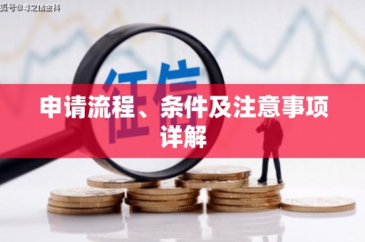卑南申请流程、条件及注意事项详解