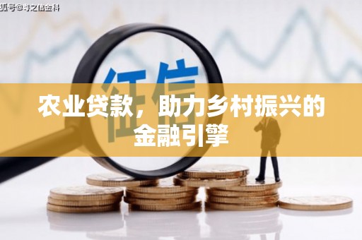 卑南农业贷款，助力乡村振兴的金融引擎