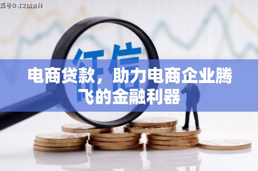 卑南电商贷款，助力电商企业腾飞的金融利器