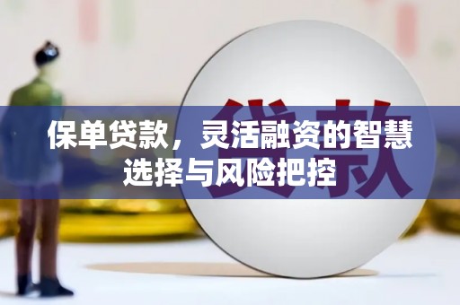 卑南保单贷款，灵活融资的智慧选择与风险把控
