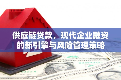 卑南供应链贷款，现代企业融资的新引擎与风险管理策略