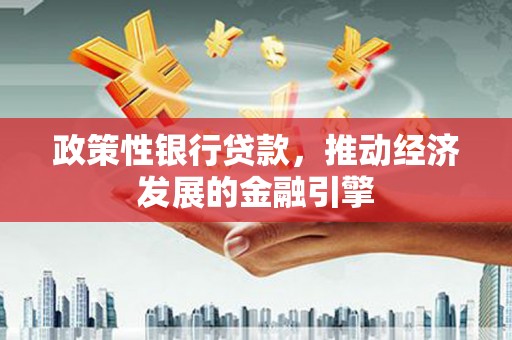 卑南政策性银行贷款，推动经济发展的金融引擎