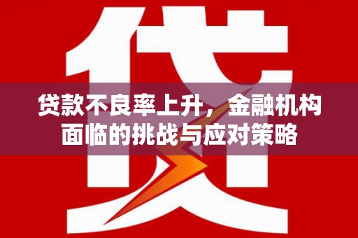 卑南贷款不良率上升，金融机构面临的挑战与应对策略