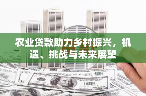卑南农业贷款助力乡村振兴，机遇、挑战与未来展望